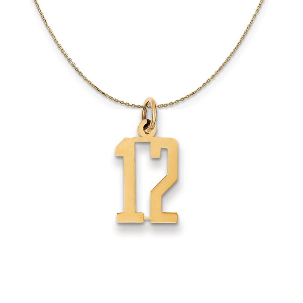 14k Yellow Gold, Alumni Small Elongated Number 12 Necklace - 18 Inch